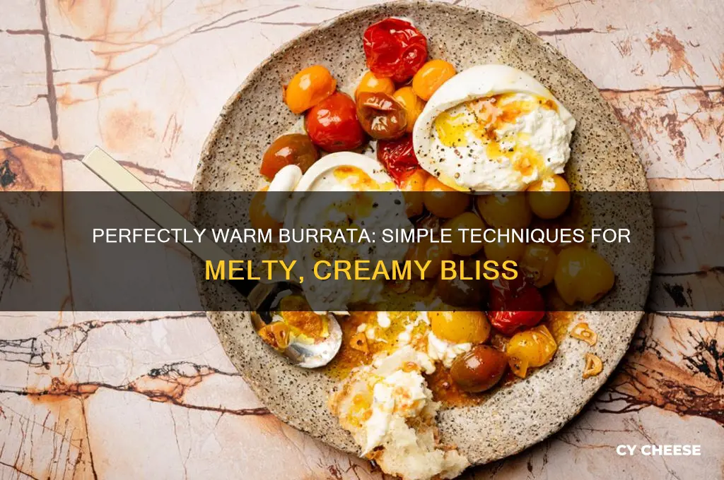 how to warm burrata cheese