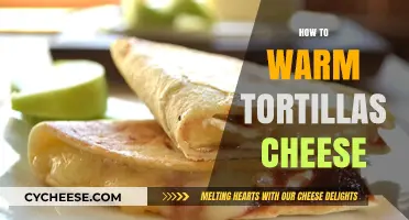 Easy Tips for Warming Tortillas with Melted Cheese Perfectly Every Time