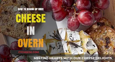 Perfectly Melted Brie: Oven Warming Tips for Creamy Cheese Delight