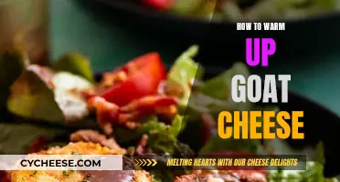 Goat Cheese Warm-Up: Best Techniques for Melting Perfection
