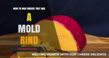 Mastering Mold-Rind Cheese Waxing: A Step-by-Step Preservation Guide