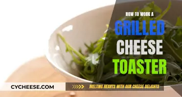 The Perfect Grilled Cheese with a Toaster