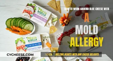 Mold Allergies and Blue Cheese: Workarounds and Tips
