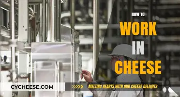 Mastering the Art of Cheese: A Guide to Working in the Industry