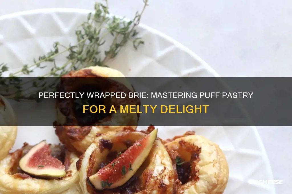 how to wrap brie cheese in puff pastry