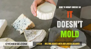 Prevent Cheese Mold: Expert Tips for Perfect Wrapping Techniques