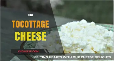 Mastering Cottage Cheese: Simple Steps to Homemade Creamy Delight