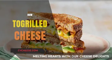 Master the Perfect Grilled Cheese: Tips, Tricks, and Techniques