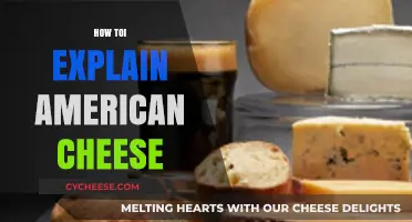 Understanding American Cheese: Origins, Varieties, and Cultural Significance Explained