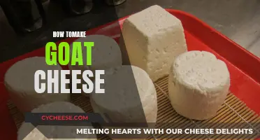 Goat Cheese Making: A Step-by-Step Guide