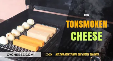 Mastering the Art of Smoking Cheese: Tips and Techniques