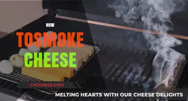 Mastering the Art of Smoking Cheese: Tips and Techniques