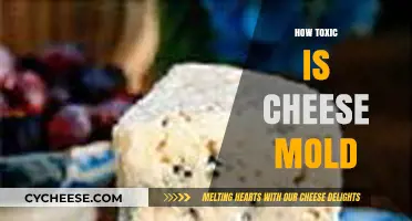 Is Cheese Mold Safe? Uncovering the Truth About Toxicity