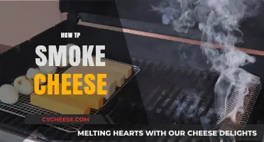 Mastering the Art of Smoking Cheese: Tips and Techniques