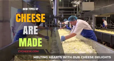 Unveiling the Art of Cheese: From Milk to Masterpieces