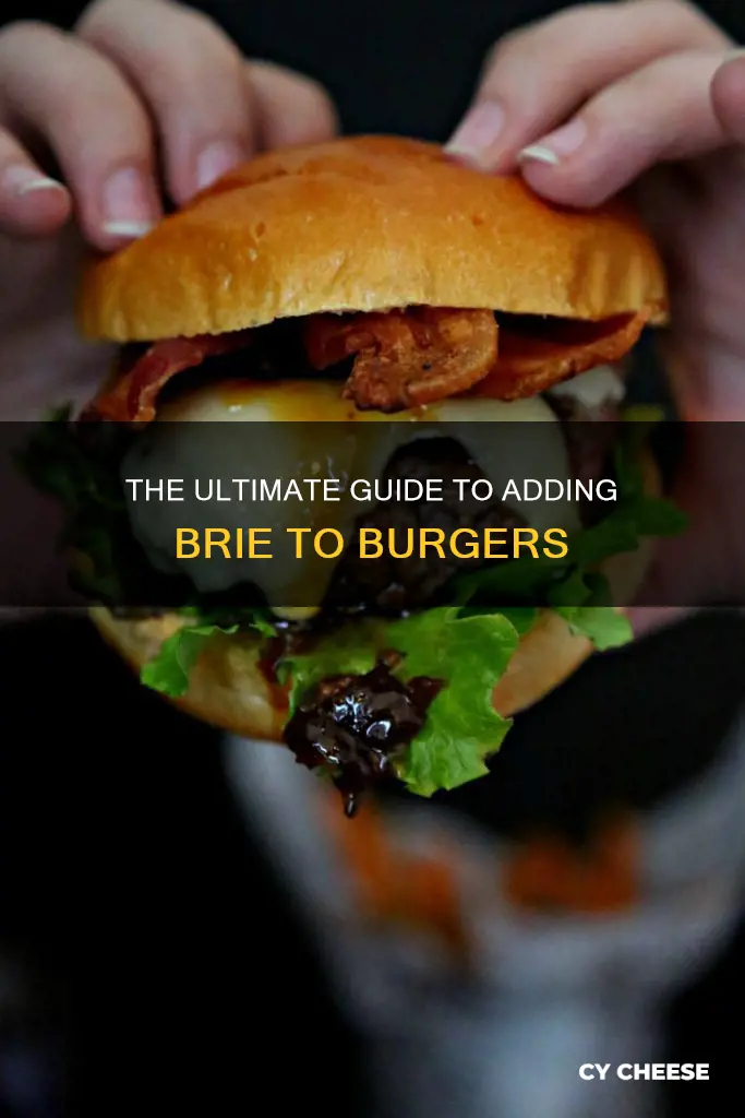 how use to use brie cheese on burger