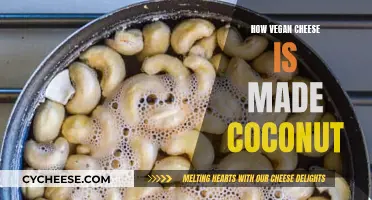 Vegan Cheese Crafted from Coconuts: A Delicious Dairy Alternative
