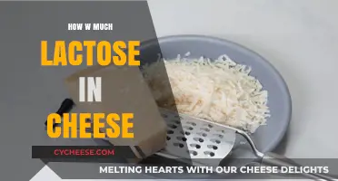 Lactose in Cheese: Understanding Levels and Tolerance for Dairy Lovers