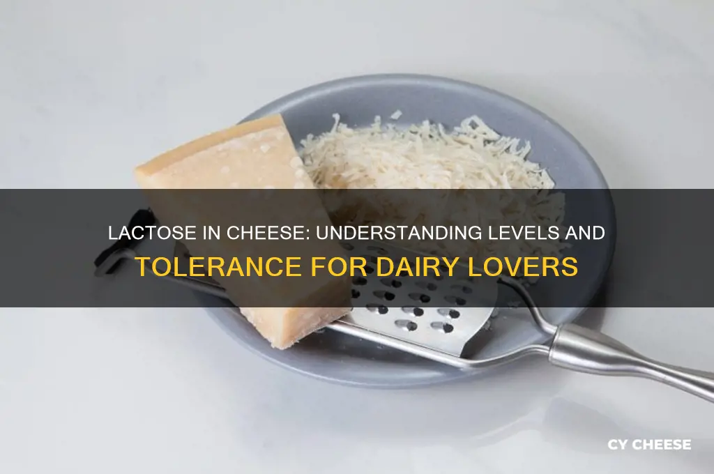 how w much lactose in cheese