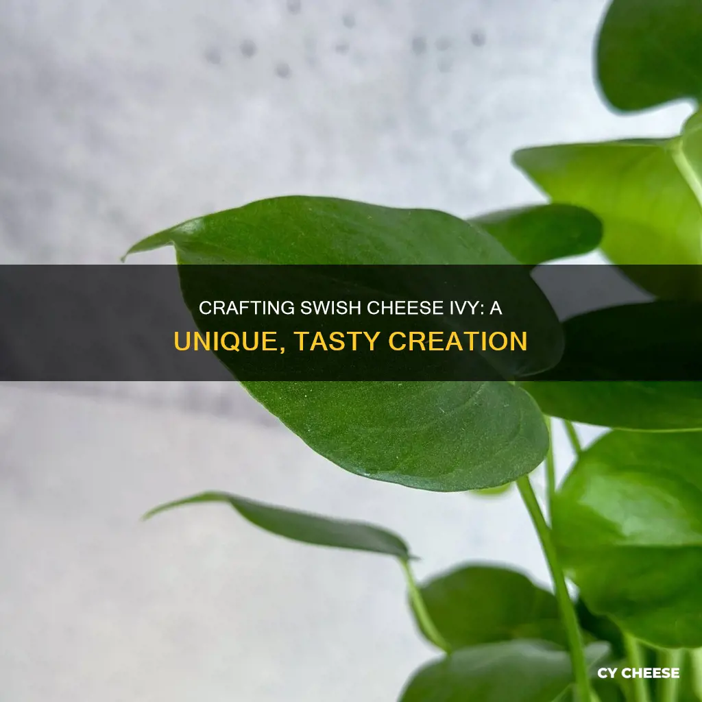 how was a swish cheese ivy made