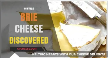 The Surprising Origins of Brie Cheese: A Historical Discovery