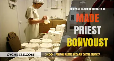 Camembert's Ancient Origins: Unveiling the Secrets of Priest Bonvoust