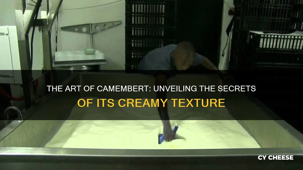 how was cambert cheese was made