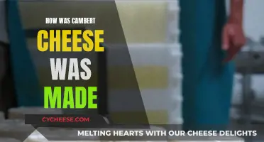 The Making of Camembert Cheese: A Step-by-Step Guide