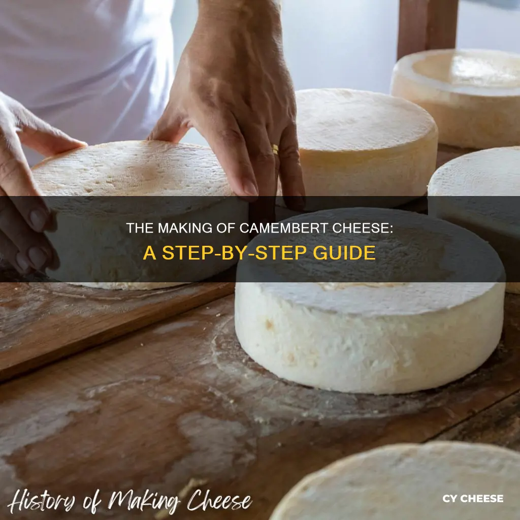 how was cambert cheese was made