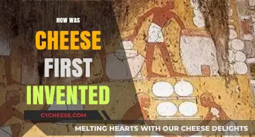 The Ancient Origins of Cheese: A Delicious Discovery Unveiled