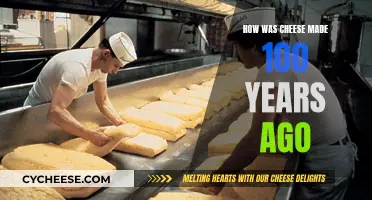 Cheese-making: Traditional Techniques of the Past Century