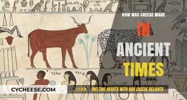 Cheese's Ancient Origins: Uncovering the Past's Cheesy Secrets