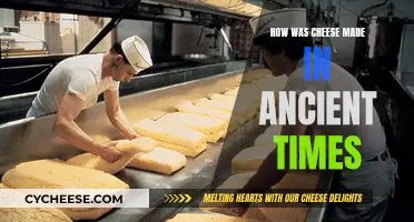 Cheese-Making: Ancient Techniques, Modern Delicacy