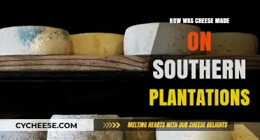 Cheese's Southern Heritage: Uncovering the Art of Plantation Cheesemaking