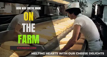 Cheese-making Farm Secrets: A Traditional Guide
