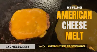 The Melting Point of American Cheese