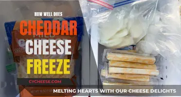 Cheddar Cheese: Freezing Facts and Flavor Preservation Tips