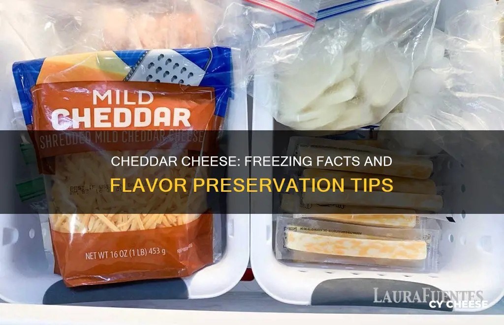 how well does cheddar cheese freeze