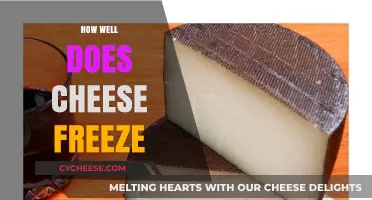 Can Cheese Be Frozen? Tips for Preserving Your Favorite Dairy Delight