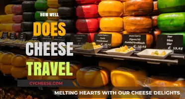Cheese on the Go: Tips for Traveling with Your Favorite Dairy