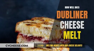Dubliner Cheese: Melting and Taste Perfection