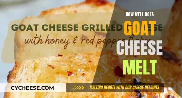 Goat Cheese Melting: A Cheesy Delight