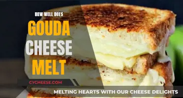 Gouda Cheese Melting: The Ultimate Guide