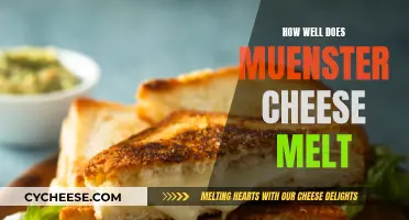 Muenster Cheese Melting: The Ultimate Guide
