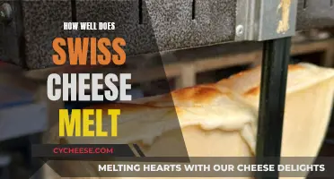 Swiss Cheese Melting: The Ultimate Guide