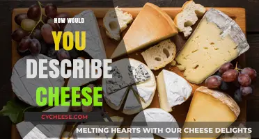 Exploring Cheese: Texture, Flavor, and Cultural Significance Unveiled