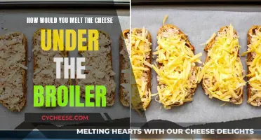 The Perfect Melt: Broiler and Cheese
