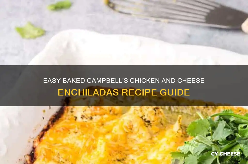 how yo bake campbells chicken and cheese enchiladas