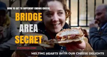 Unlocking the Cheese Bridge Area Secret Endings