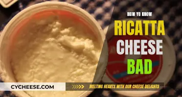 Ricotta Cheese: How to Know it's Gone Bad